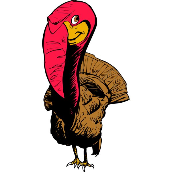 Turkey7 Thumbnail