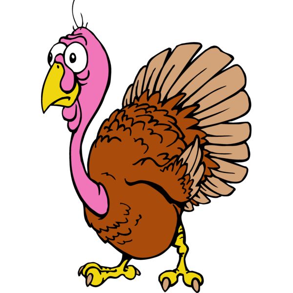 TURKEY2 Thumbnail