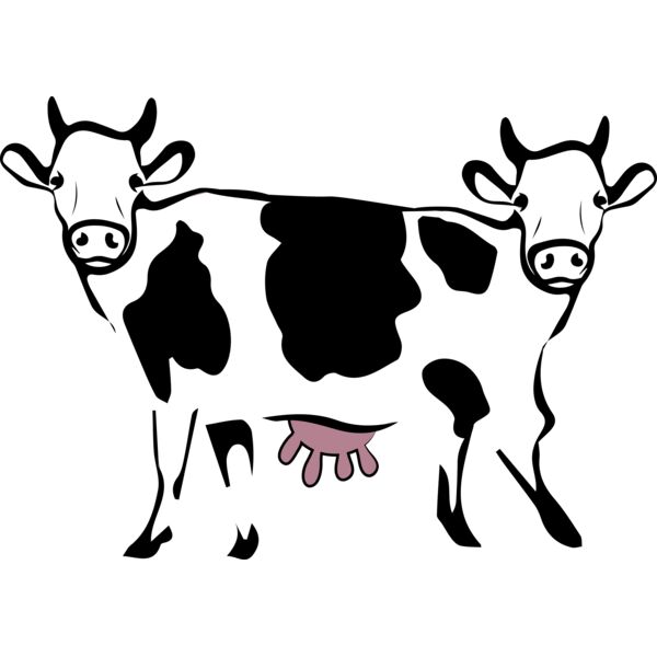 Double Cow Thumbnail