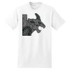 XXL Hanes Tagless T Thumbnail