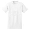 XXL Hanes Tagless T Thumbnail