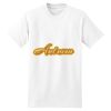 XXL Hanes Tagless T Thumbnail