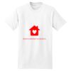 XXL Hanes Tagless T Thumbnail