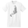 XXL Hanes Tagless T Thumbnail