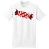 XXL Hanes Tagless T Thumbnail