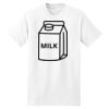 XXL Hanes Tagless T Thumbnail