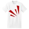 XXL Hanes Tagless T Thumbnail