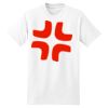 XXL Hanes Tagless T Thumbnail
