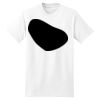 XXL Hanes Tagless T Thumbnail