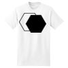 XXL Hanes Tagless T Thumbnail