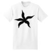 XXL Hanes Tagless T Thumbnail
