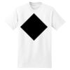 XXL Hanes Tagless T Thumbnail