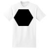 XXL Hanes Tagless T Thumbnail