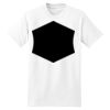 XXL Hanes Tagless T Thumbnail