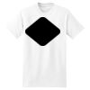 XXL Hanes Tagless T Thumbnail