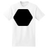 XXL Hanes Tagless T Thumbnail