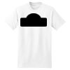 XXL Hanes Tagless T Thumbnail