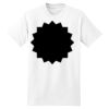 XXL Hanes Tagless T Thumbnail