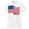 XXL Hanes Tagless T Thumbnail