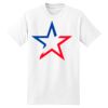 XXL Hanes Tagless T Thumbnail