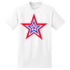 XXL Hanes Tagless T Thumbnail