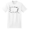 XXL Hanes Tagless T Thumbnail