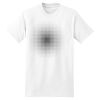 XXL Hanes Tagless T Thumbnail