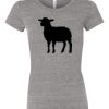 Womens Tri-Blend Crew Thumbnail